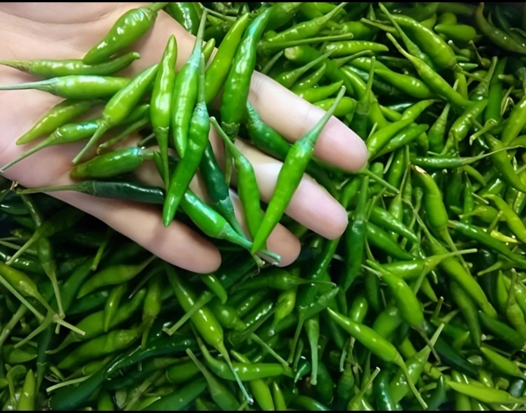 Birds Eye Green Chili