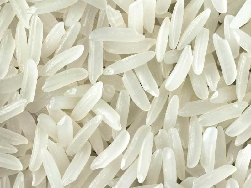 IRRI-9 Long Grain Rice
