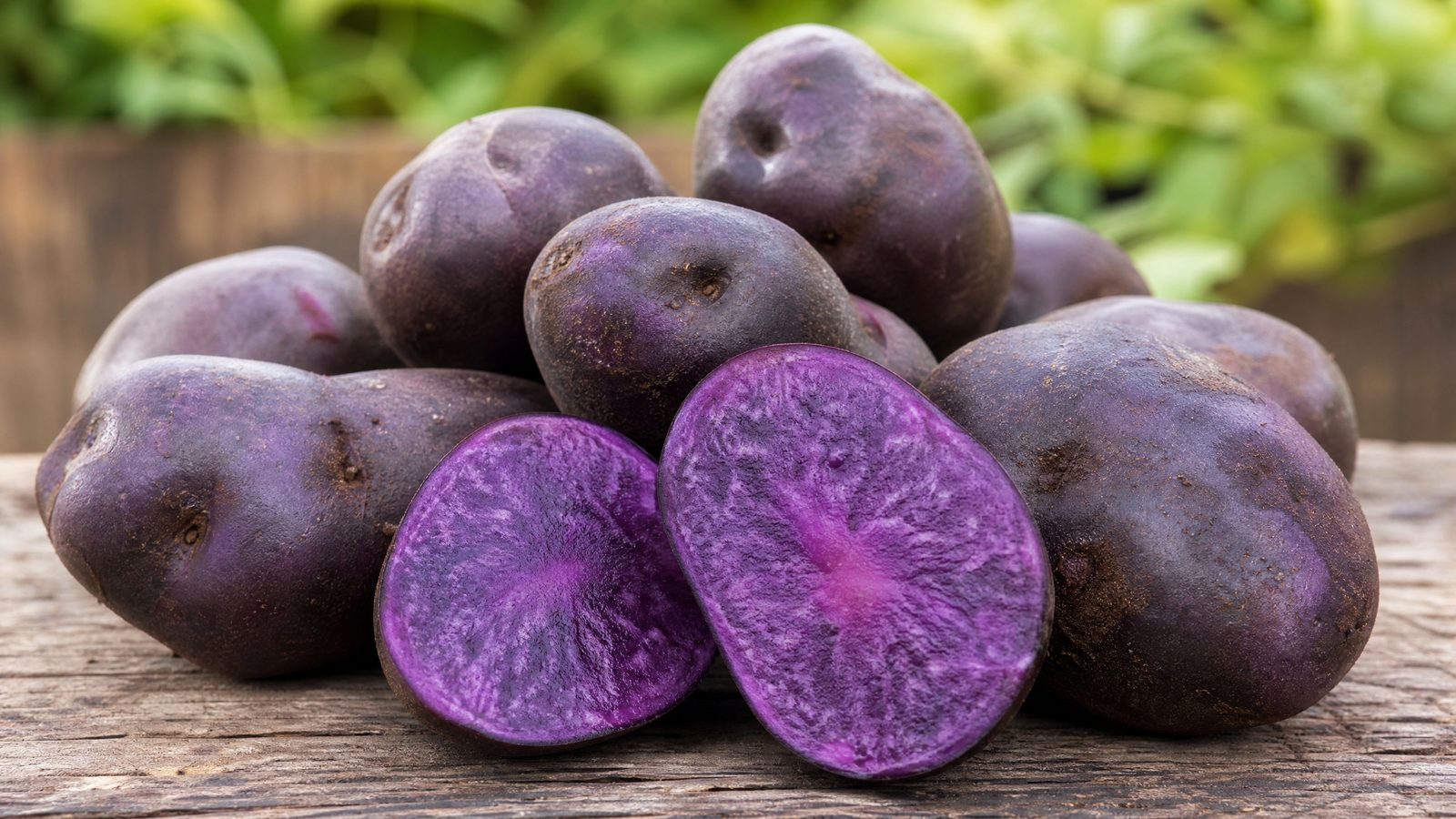 Purple Potato