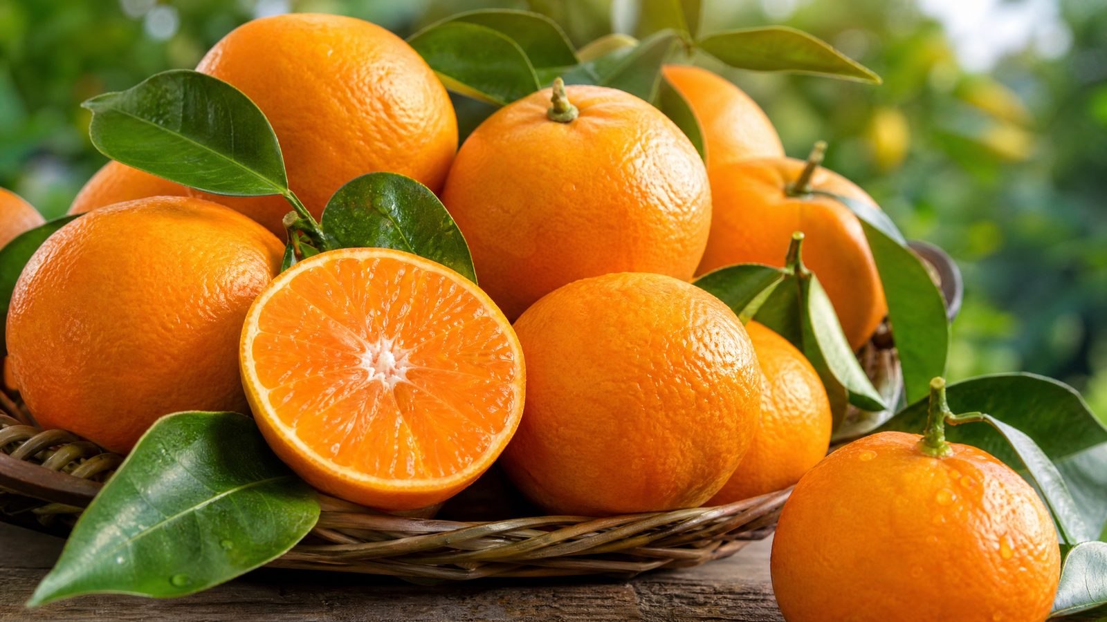 AARI Seedless Kinnow Mandarin