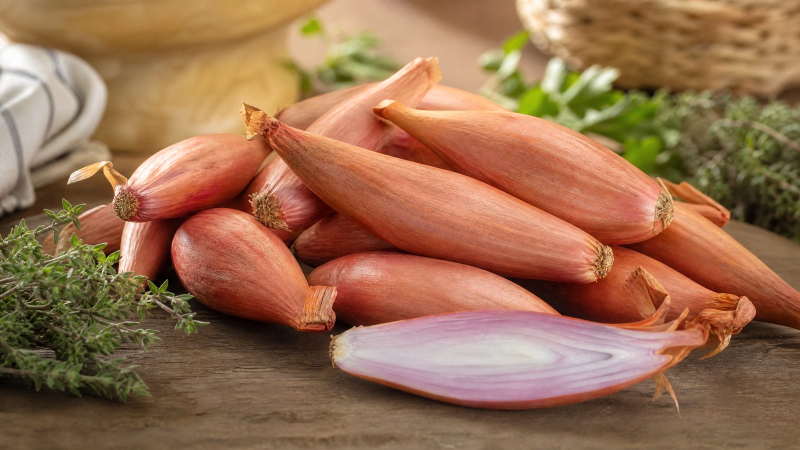 Shallot Onion